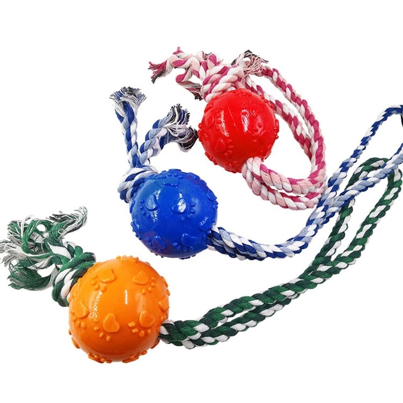 Interactive Pet Iq Training Toys Ball With String , Pet Dog Toys