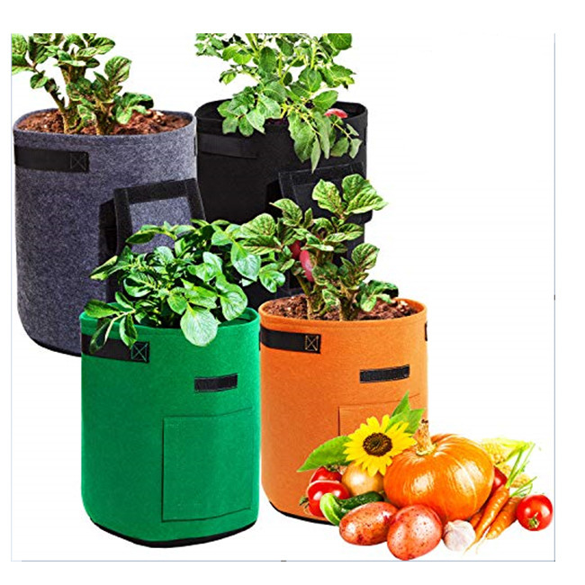 Recycled Polyester Felt Plant Tool Kit Potato Grow Bags 1 Gallon 3 Gallon