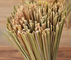 Scrubbing 11.8 Inch Bamboo Dish Scrub Brush Home Restaurant Kitchen Tool